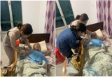 “居家护理”延伸温情服务 谱写优质护理新篇章