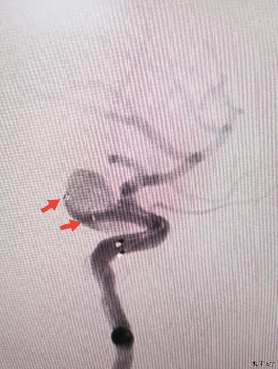 740f641e43d72d54974403f76b92fb6