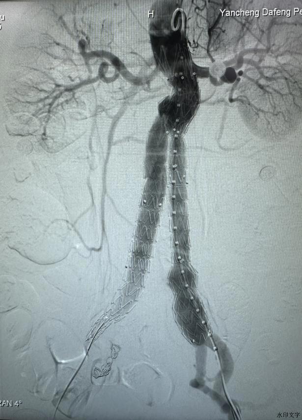 mmexport1731897783924