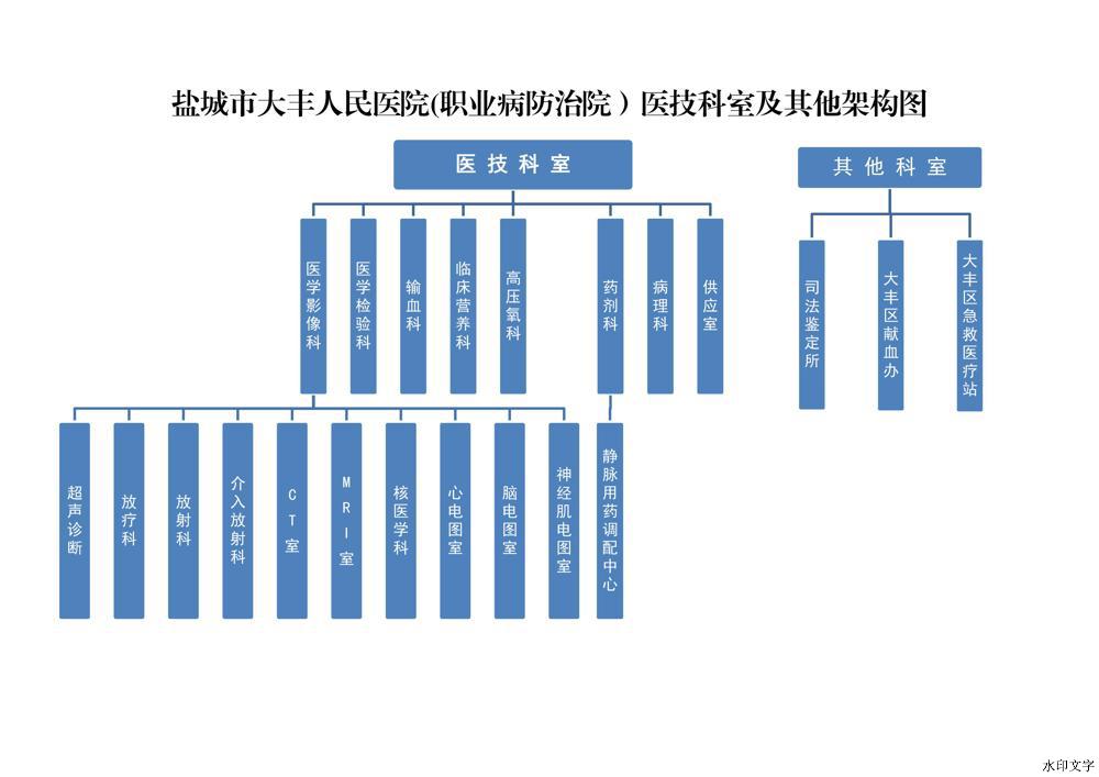 医技科室组织架构图(3)