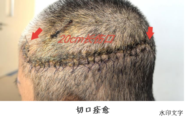 微信图片_2025-08-28_104325_740